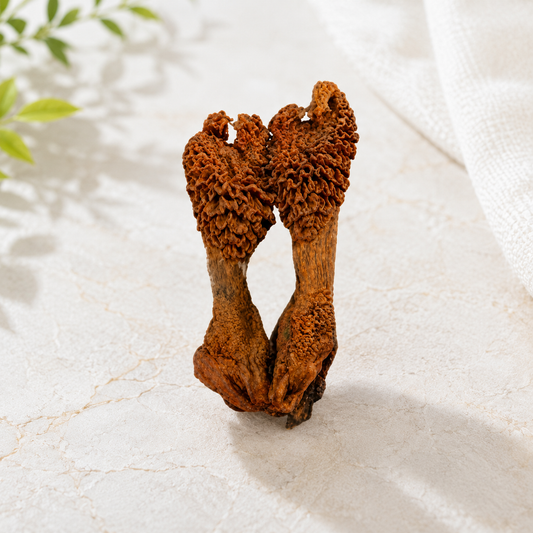 Siddh Hatha Jodi | 100% Original & Authentic Spiritual Product
