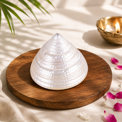 Buy Original Moti Shankh | Premium Pooja Conch Online