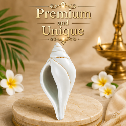 Dakshinavarti Shankh | 100% Original Premium Spiritual and Rare Product