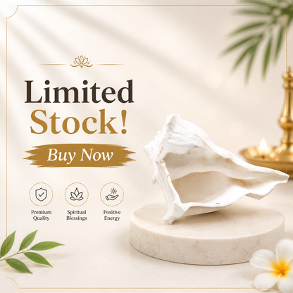 Dakshinavarti Shankh | Divine Ritual Product