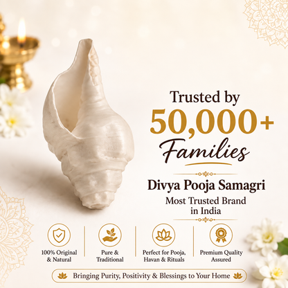 Authentic Shankh – Premium Original Sacred Conch Shell for Divine Pooja Rituals