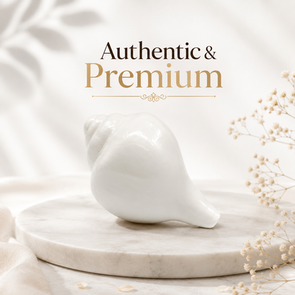 Original Natural Blowing Large Shankh | Premium Pooja Conch