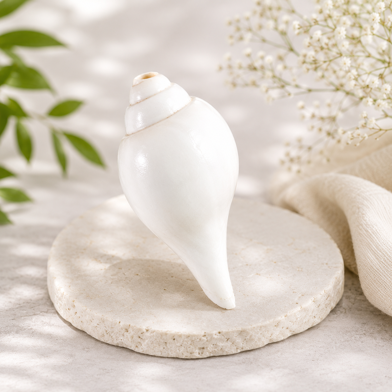 Original Vishnu Shankh | Sacred Conch for Vishnu Pooja