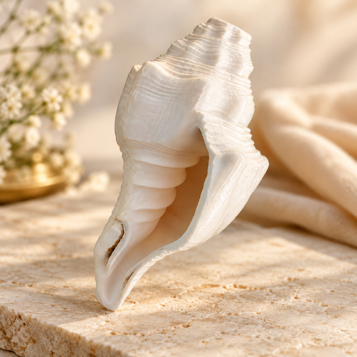 Shankh for Pooja | Sacred Hindu Conch Shell for Puja, Mandir & Religious Rituals