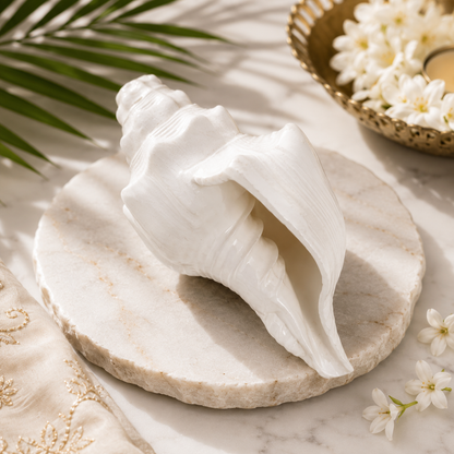 Premium Rare Large Shankh | Original Sacred Conch for Hindu Pooja