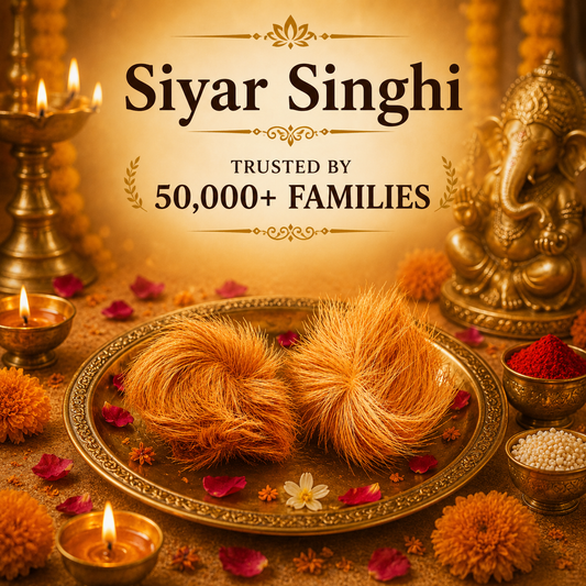 Siyar Singhi