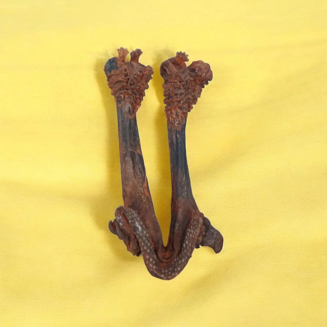 Siddh Hatha Jodi | 100% Original & Authentic Spiritual Product