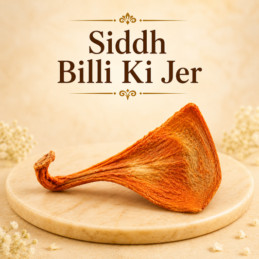 Siddh Billi Ki Jer