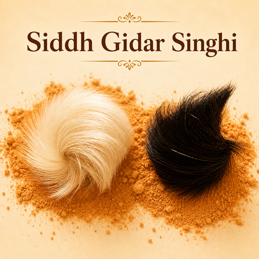 Siddh Gidar Singhi