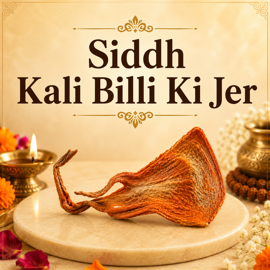 Siddh Kali Billi Ki Jer